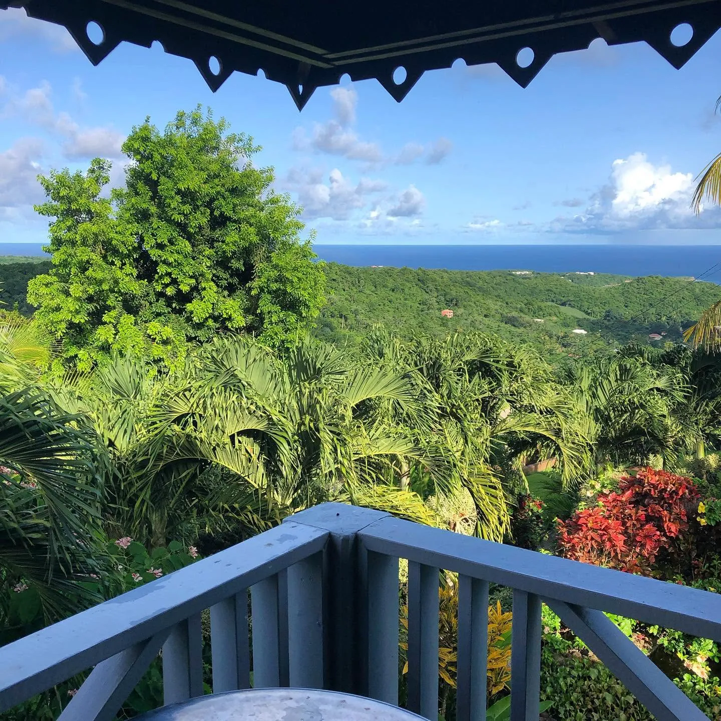 The view from the veranda over palms and green hills to the sea